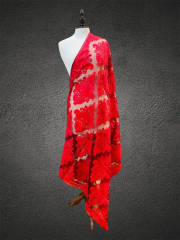Royal Crimson Red Tone-on-Tone Aari Embroidered Organza Dupatta