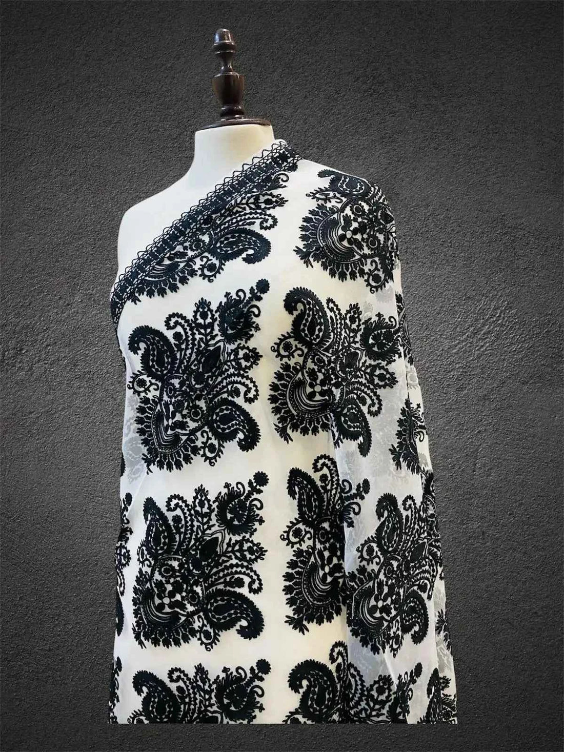 Royal Monochrome Ivory & Onyx Black Aari Embroidered Organza Dupatta