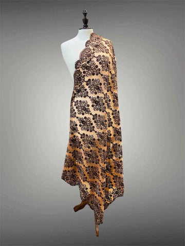 Elegant Beige & Espresso Brown Silk Embroidered Organza Dupatta