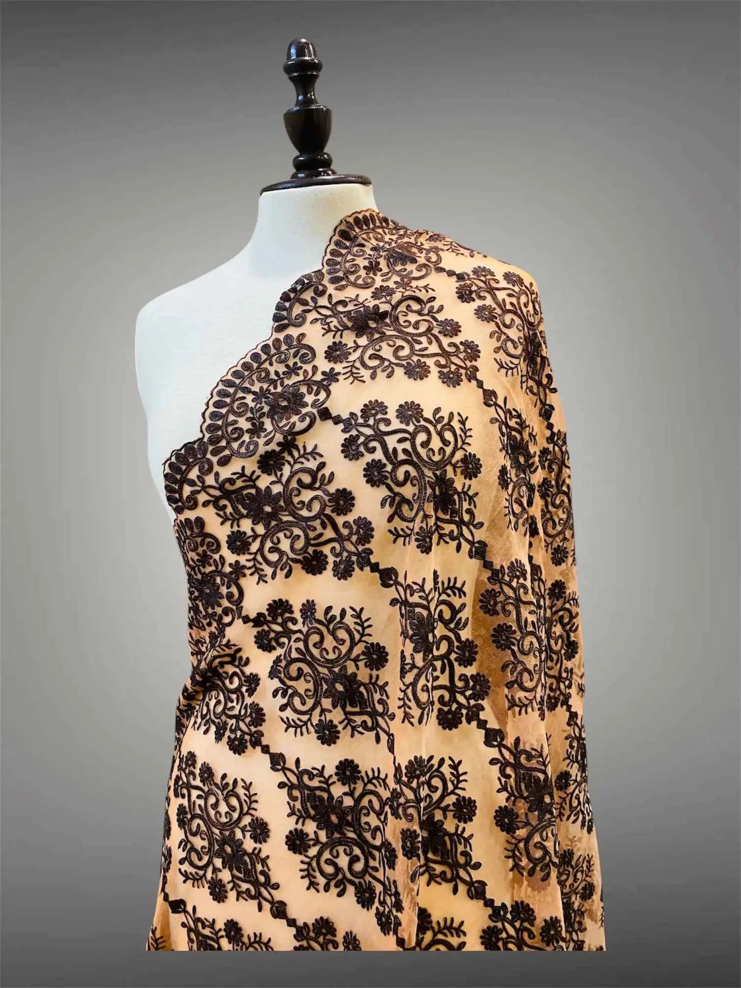 Elegant Beige & Espresso Brown Silk Embroidered Organza Dupatta