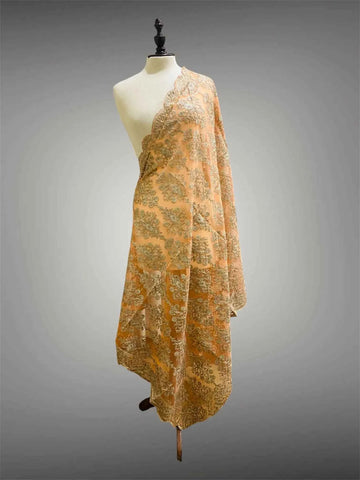 Elegant Pastel Peach and Champagne Gold Silk Thread Embriodery Organza Dupatta